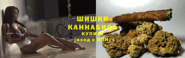 ГАЛЛЮЦИНОГЕННЫЕ ГРИБЫ Алзамай