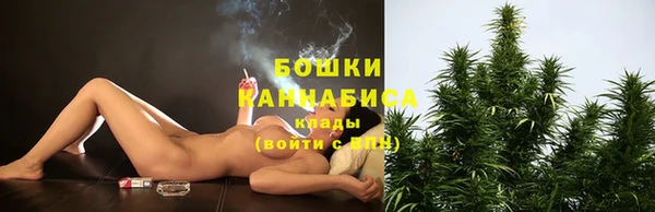 ГАЛЛЮЦИНОГЕННЫЕ ГРИБЫ Алзамай