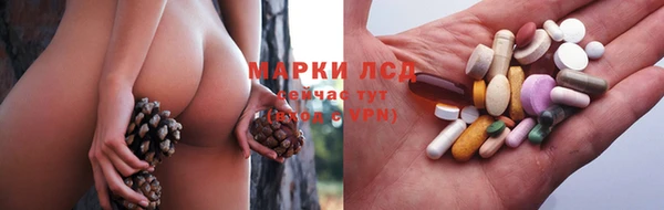 ГАЛЛЮЦИНОГЕННЫЕ ГРИБЫ Алзамай