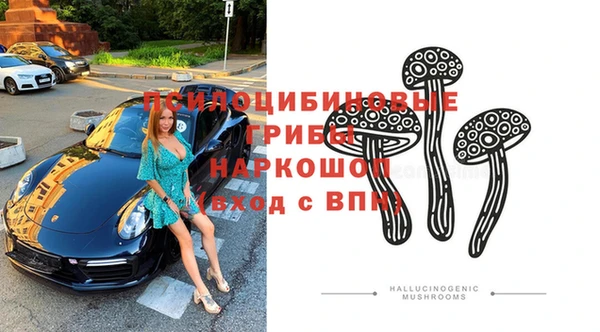 гидра Алексин