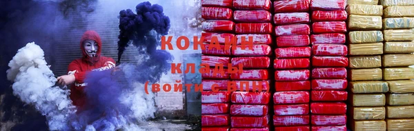 ГАЛЛЮЦИНОГЕННЫЕ ГРИБЫ Алзамай