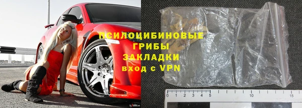 ГАЛЛЮЦИНОГЕННЫЕ ГРИБЫ Алзамай