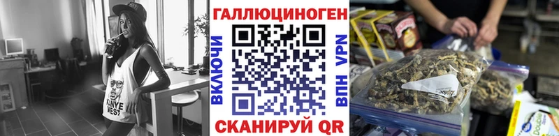 Галлюциногенные грибы Psilocybine cubensis Североуральск