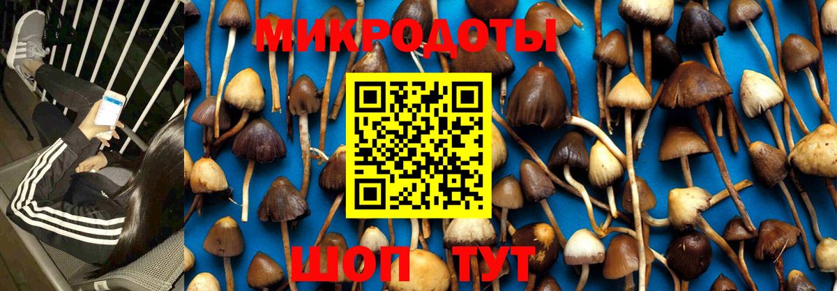 Галлюциногенные грибы Psilocybe  наркошоп  Североуральск  Вход с VPN 